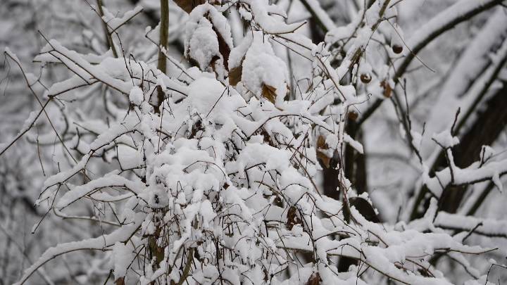 Accumulating Snow Begins Tonight