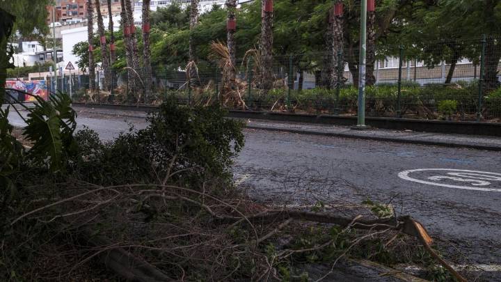 La borrasca Emilia provoca más de 300 incidencias en su paso por Canarias