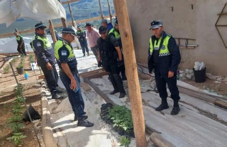 Tafí del Valle: Encontraron un invernadero y laboratorio de marihuana en el Cerro El Pelao