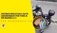 vecinos rescatan a gato abandonado por pareja en Marsella 3