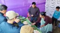 Sohmynting hosts first ever Sohphlang festival to restore heritage crop and rebuild community stewardship