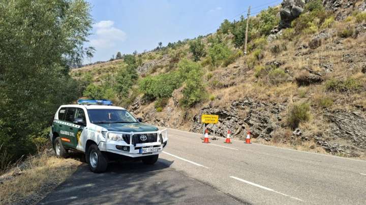 Investigan el accidente con un osezno implicado en Villablino