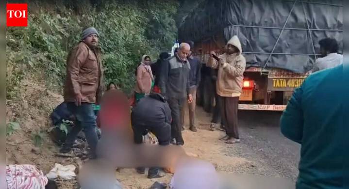 Andhra Pradesh pilgrimage turns tragic: At least 9 dead as bus falls into gorge; rescue ops launched