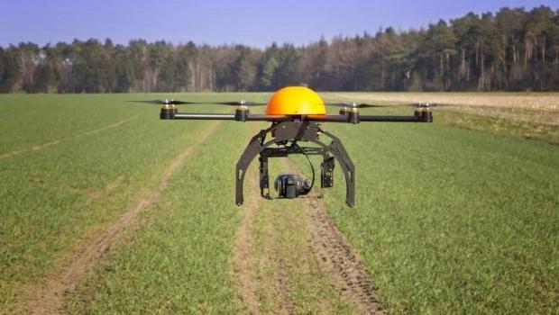 Reforestación con drones, una apuesta revolucionaria