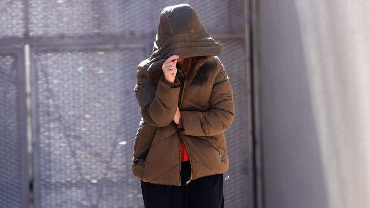 El juez de la Audiencia Nacional deja en libertad provisional al ex presidente de la Sepi Vicente Fernández, la 'fontanera' Leire Díez y el empresario Antxon Alonso