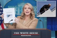 Karoline Leavitt blasts NY Times reporter for President Trump health story: 'Are you kidding me?'