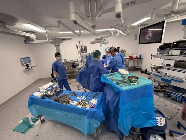 El SMS informa de que más de 16.000 pacientes no han podido ser atendidos esta semana "a causa de la huelga de médicos"