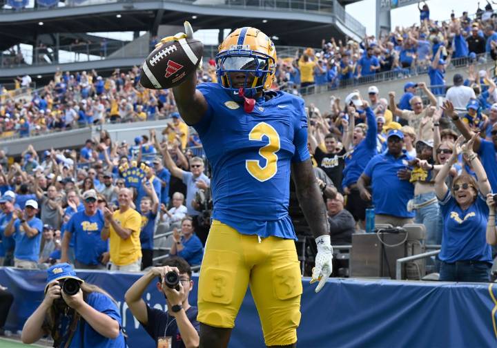 Pitt football defense grades: Defensive line and linebackers shine, secondary faces questions