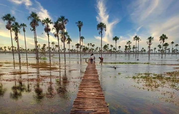 FONTUR dará a conocer oferta institucional en Casanare