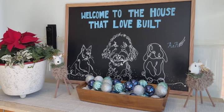 Roanoke shelter reveals true cost of animal care beyond adoption fees