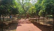 Bhubaneswar parks get new timings; no afternoon break on weekends