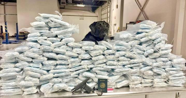 More than 1 million fentanyl pills seized during Tucson traffic stop