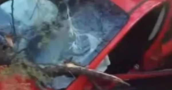 Despistó un auto por reventarse una rueda y dejó cuatro heridos en plena ruta