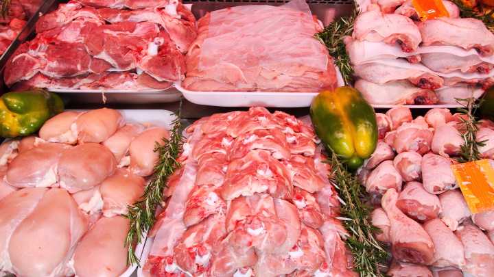 Dudas de la gripe aviar en España: ¿se contagia a humanos? ¿Se puede comer pollo y huevos?