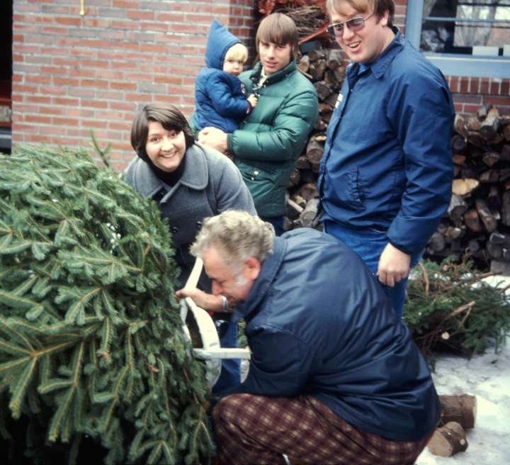 Fake trees are the way to go: No needles, no sap, no hassle