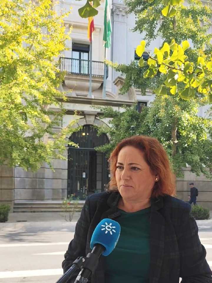 Izquierda Unida propone a la Diputación un Plan Provincial de Ordenación de Riesgos