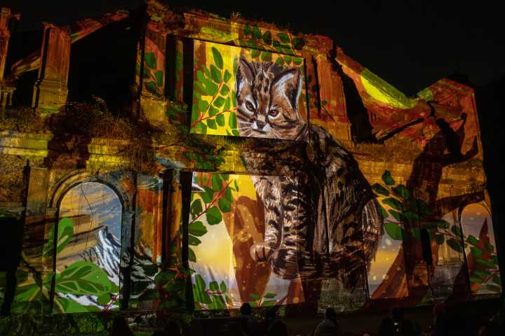 "Festival Eureka: el Misterio de la Luz" invita a vivir su segunda jornada gratuita en Chiguayante