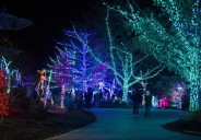 La magia regresa al Zoológico de Indy