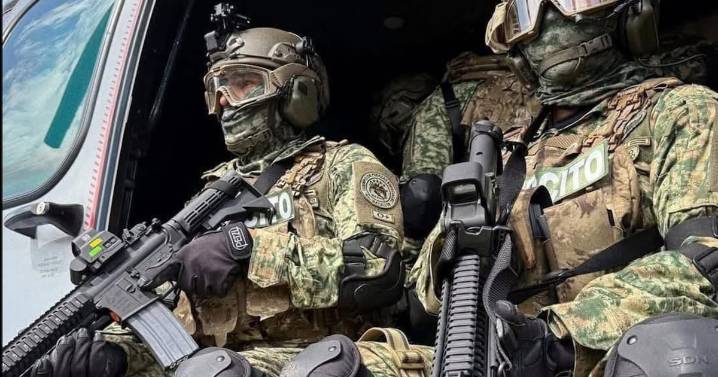 García Harfuch crea cuerpo élite federal para operativos contra el crimen organizado