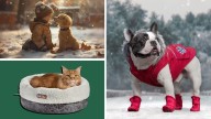 Winter pet essentials: Shop the best heated beds, paw care