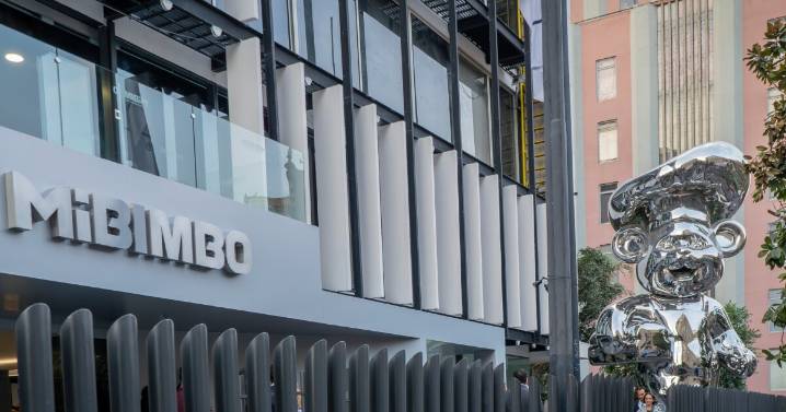 Bimbo abrirá su propio museo interactivo: ¿dónde se ubica y cuánto costará el precio de los boletos? Actividades y lo que podrás ver