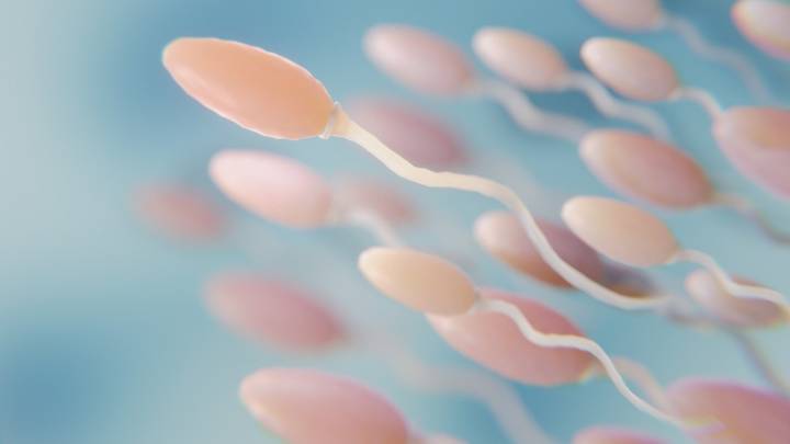 Donante de esperma con mutación genética engendró a casi 200 niños: Algunos ya murieron de cáncer