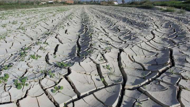 El riesgo de desertificación ya acecha al 80% del territorio valenciano
