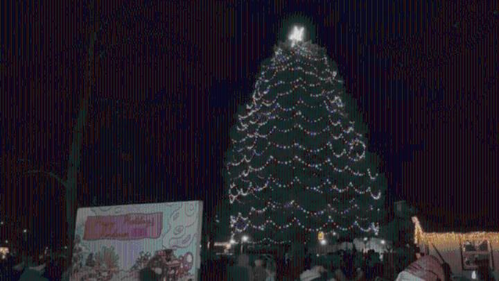 City of Henderson Christmas tree lighting