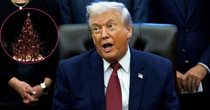 Donald Trump Trolled by Critics 'Impressed' With His Ability to 'Count Down From 5' as Wife Melania Lights National Christmas Tree: Watch