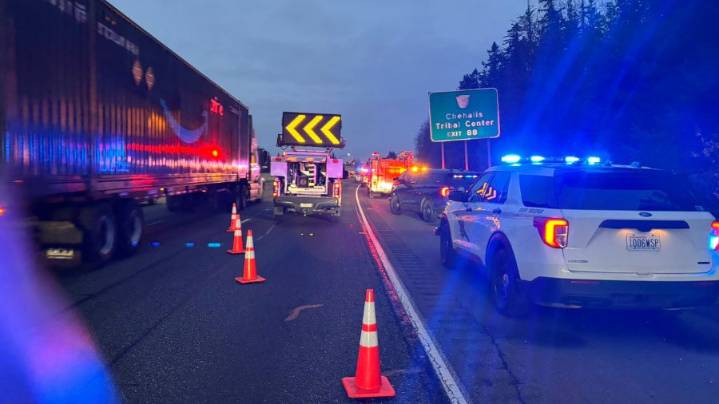 Driver dies after car bursts into flames on I