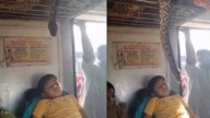 Python approaches sleeping child inside train; shocking visuals spreading