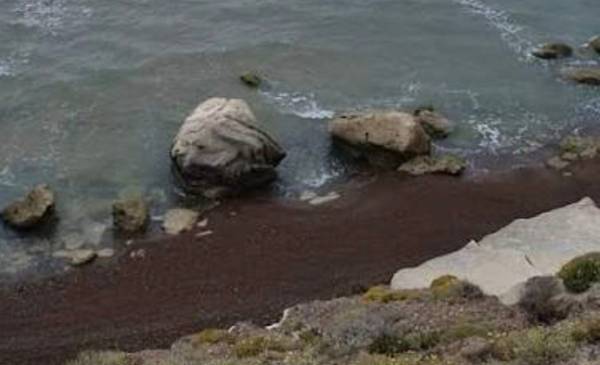 Detuvieron a los sospechosos por el homicidio de Giannobile ocurrido en Playa Magagna