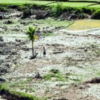 Survivors pick up pieces in flood-hit Indonesia as more rain predicted
