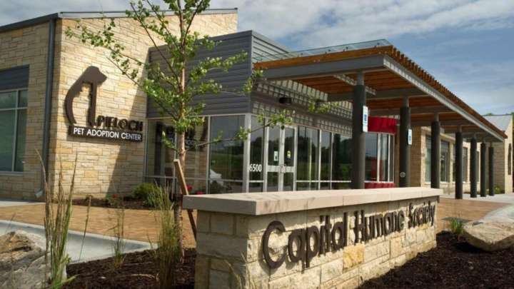 Capital Humane Society cuts adoption fees in half with holiday promotion