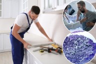 Incurable disease caused by kitchen design ID'd in Massachusetts