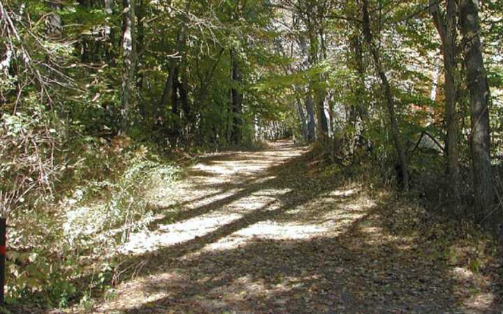 Horse dies, woman crawls for help after incident on Ipswich trail