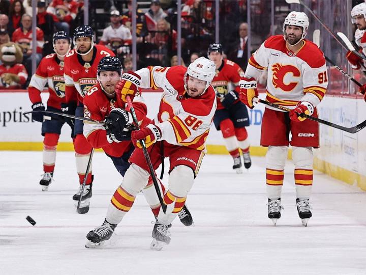 Five things the month of November told us about the Calgary Flames