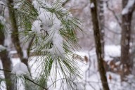 White Christmas 2025: Old Farmer's Almanac says snow possible in New England
