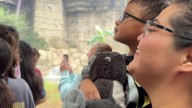 San Antonio Zoo gorilla habitat grand opening has families going bananas