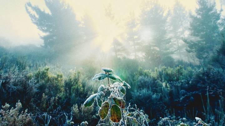 El frío invernal azota León: la provincia se congela con temperaturas bajo cero