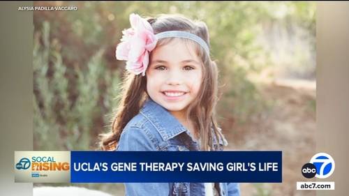 Experimental gene therapy treatment created at UCLA gives 'bubble girl' born with rare genetic disorder ADA