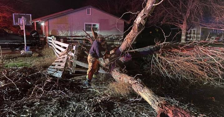 Large tree blocks Red Mountain Road in West Richland