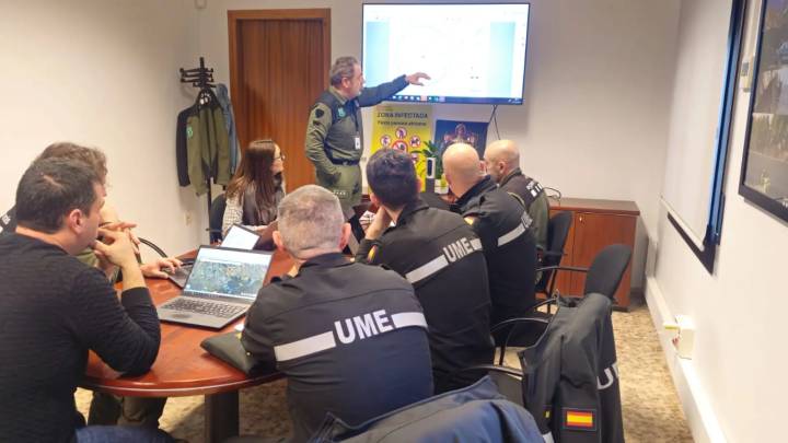 La UME, tras los jabalíes afectados por la peste porcina: así será la operación
