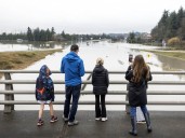 'Frustrating and defeating': More rain in forecast as Abbotsford surveys flood damage