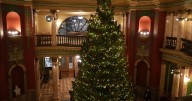 Montana lights up State Capitol Christmas tree