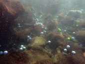 Hidden underwater: How can we stop golf balls from falling into the ocean at local resorts?