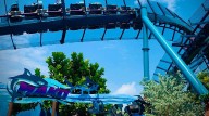 ‘Random aerial bird strike:’ SeaWorld Orlando responds to coaster rider’s ‘duck’ lawsuit