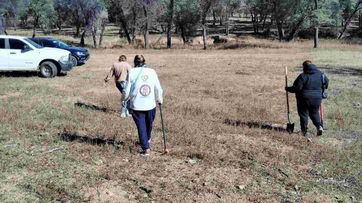 Localizan Restos Humanos y un Cuerpo en Estado de Descomposición en Nogales y Hermosillo