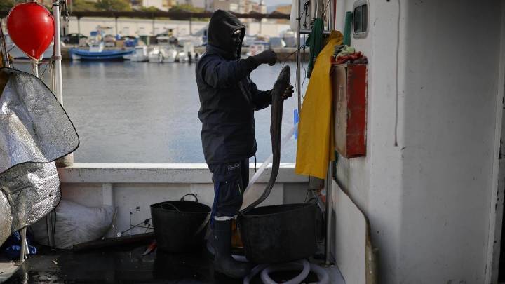 Los pescadores, descontentos con Europa: "Más de la mitad de los barcos de la Región no podrán trabajar esos 143 días"