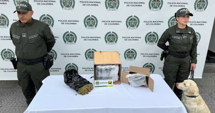 Axel olfateó la droga: cayeron 3.248 gramos de marihuana en una bodega en Manizales